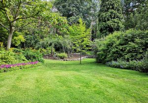 Optimiser l'expérience du jardin à Ermenonville-la-Petite